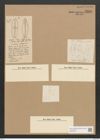 Amphora hians Fleogel. (de-Toni-Nr.: Genus 36, Species 1530) Zeichnungen Sammlung Grunow Nr. 2952 (NHMW-BOT-W0370307)